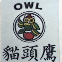貓頭鷹OWL及圖(彩色)