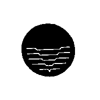 宏洋公司標章