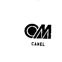 CAMEL及圖
