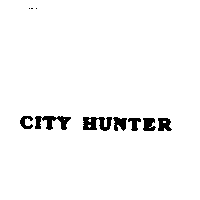 CITY HUNTER