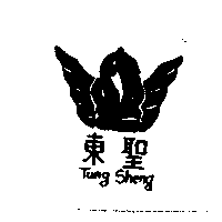 東聖Tung Sheng及圖