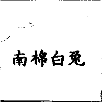 南棉白兔