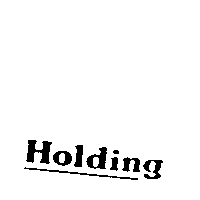 Holding及圖