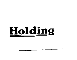 Holding及圖