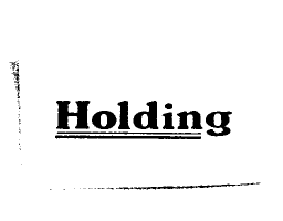 Holding及圖