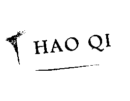 金百利克拉克國際公司 HAO QI