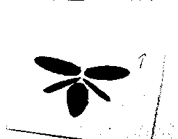 興蘭貿易有限公司標章