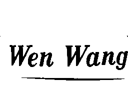 Wen Wang