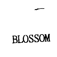 BLOSSOM