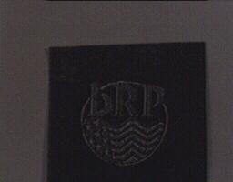 bRP 及圖