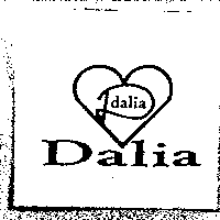 魔燈企業有限公司 Dalia 及圖