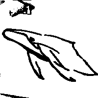 海鯨圖