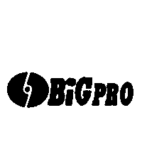 BiGPRO及圖