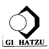 GI HATZU及圖