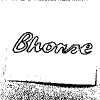 Bhorse