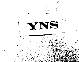 YNS