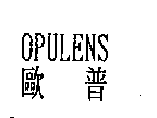 精華光學股份有限公司 歐普OPULENS