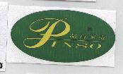 品首(彩色)PINSO及圖