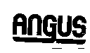 安格斯化學公司 ANGUS(stylized)