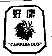 CAMPAGNOLO好康及圖
