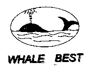 WHALE BEST及圖