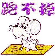 跑不掉及圖