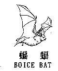 蝙蝠BOICE BAT及圖
