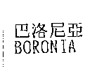 巴洛尼亞BORONIA