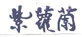 紫蘿蘭
