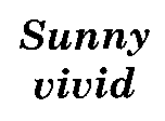 金百利股份有限公司 Sunny vivid