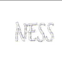 NESS