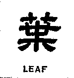 葉及LEAF