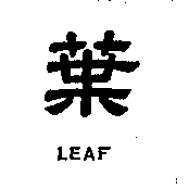 葉及LEAF