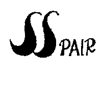 SSPAIR設計圖