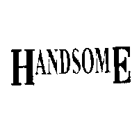 HANDSOME