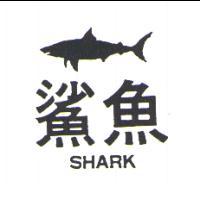 鯊魚及圖 SHARK
