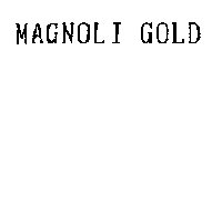 MAGNOLI  GOLD