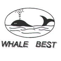 WHALE  BEST及圖