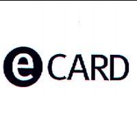 永豐商業銀行股份有限公司 e CARD及圖