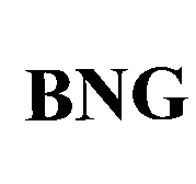 張智傑 BNG