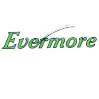 EVERMORE設計圖（彩色）