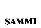 創寶發展有限公司 SAMMI