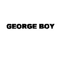 創寶發展有限公司 GEORGE BOY