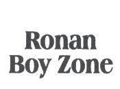 創寶發展有限公司 Ronan Boy Zone