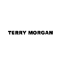 創寶發展有限公司 TERRY MORGAN