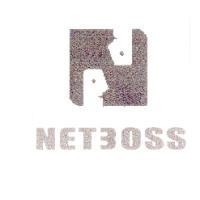 NETBOSS及圖