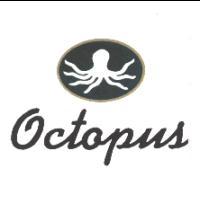 Octopus及圖