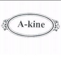 A-kine及獅頭設計圖