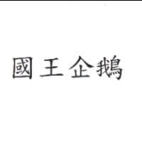國王企鵝