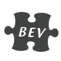 BEV及圖
